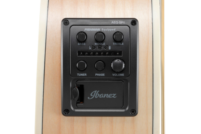 PN29E | PERFORMANCE | ACOUSTIC GUITARS | PRODUCTS | Ibanez PN29E | PERFORMANCE | ACOUSTIC GUITARS | PRODUCTS | Ibanez
